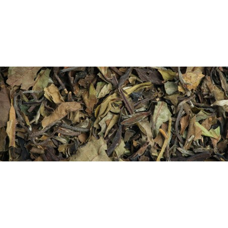 Organic "Pai Mu Tan" white tea