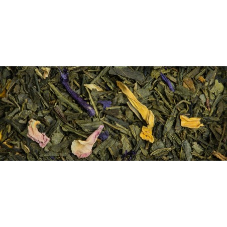 Sencha Venisia - Organic