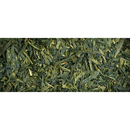 Sencha Kashiwagi N°20 Bio