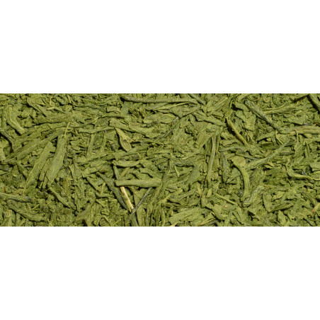 Matcha Sencha - Organic