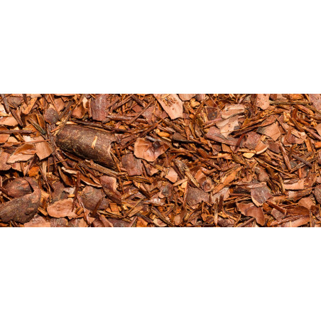 Terroirs d'Afrique - Organic