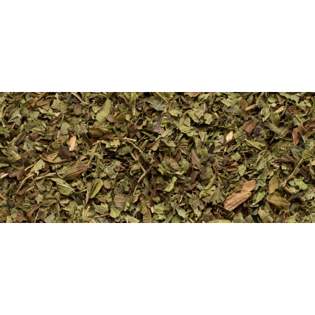 Verveine Menthe - Organic