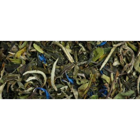 White Earl Grey - Organic