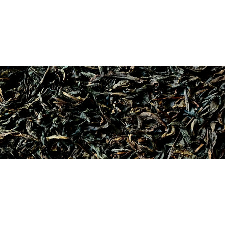 Da Hong Pao