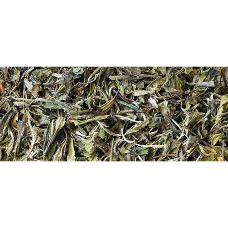 2020 "Bai Mu Dan" white tea