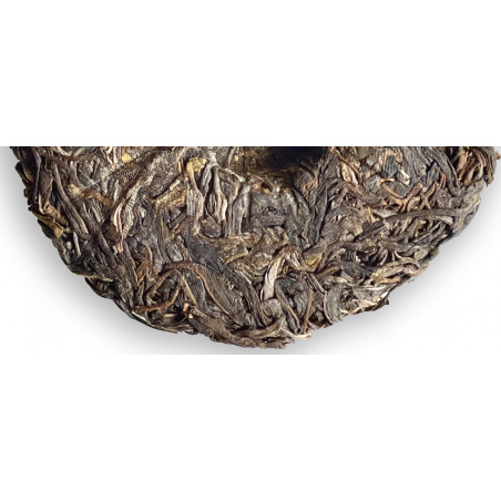 Sheng sauvage de forêt 2021...
