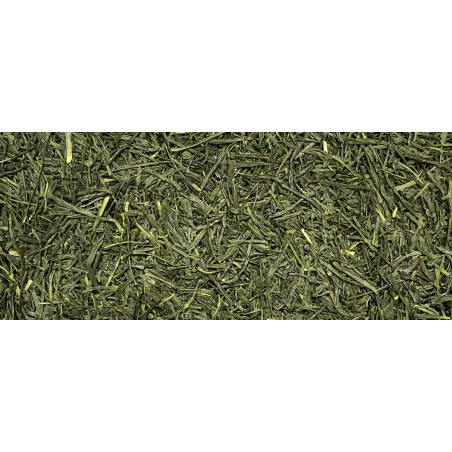 Sencha Sayama 2023 - Organic