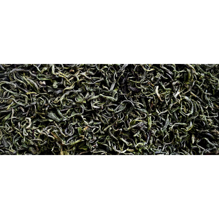 Guizhou Mao Feng Firstflush...