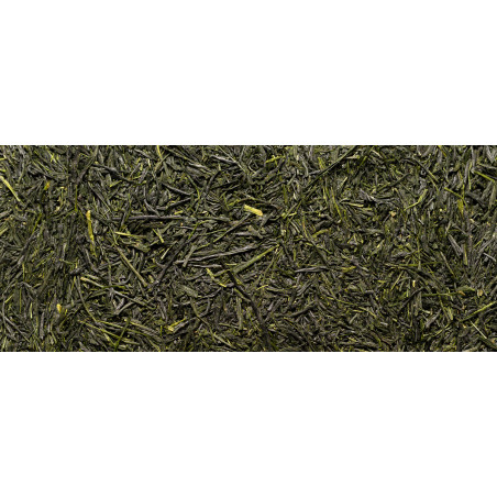 Gyokuro bio Saemidori 2023