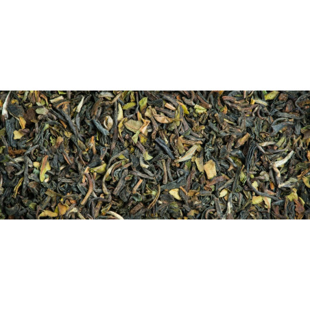 Darjeeling Makaïbari 2023