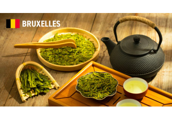 Green tea: 5 terroirs