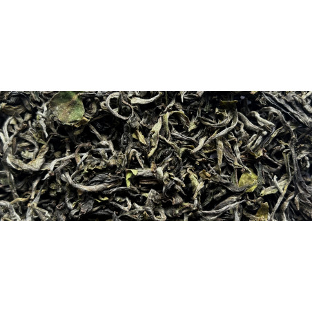 Pathivara Primeur 2024 Bio
