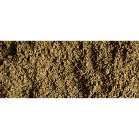 Hojicha en poudre bio