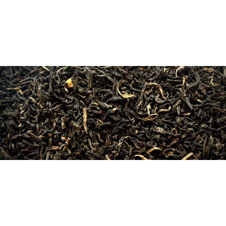 Noir Jasmin bio