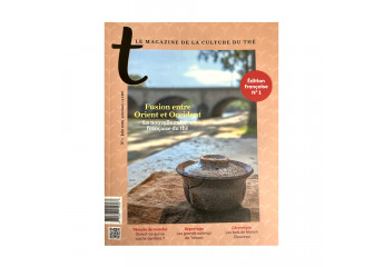 t-Magazine n°1 (in French):...