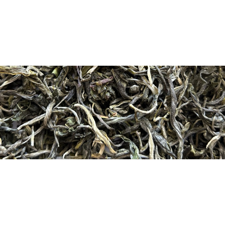 Phoenix Lincang Firstflush...