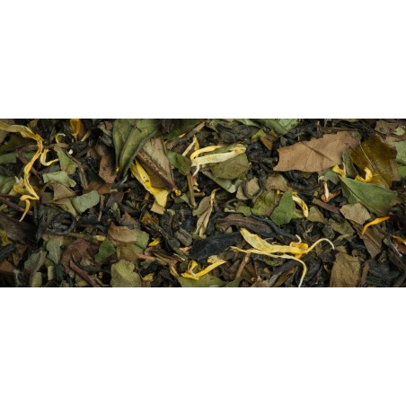 Abricotini - Organic