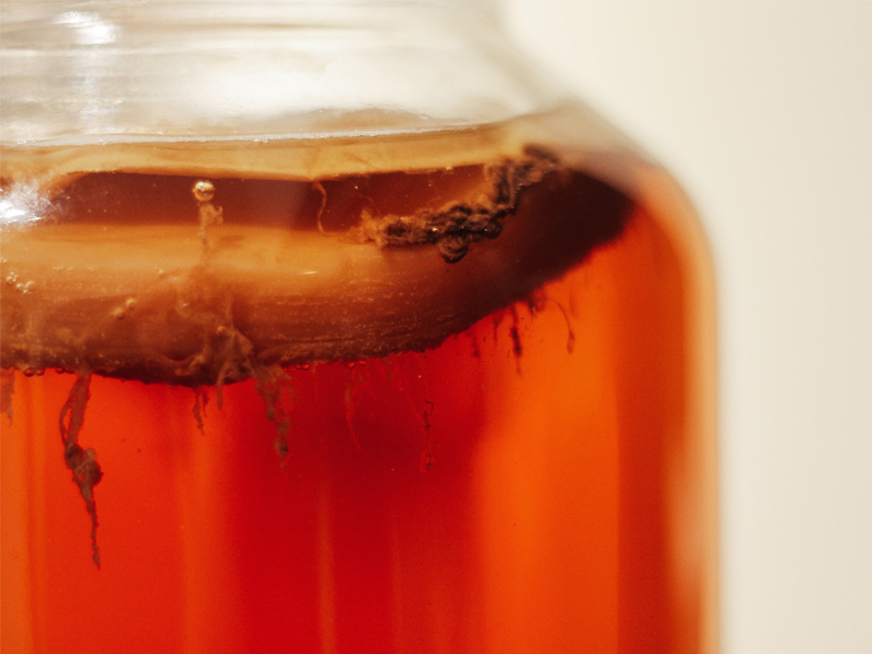 Kombucha : bienfaits, dangers et recette