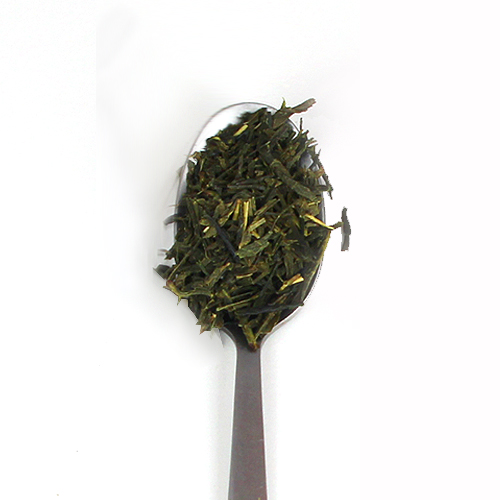 Sencha Kashiwagi