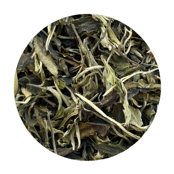 Thé blanc Lao Shu Baï Cha