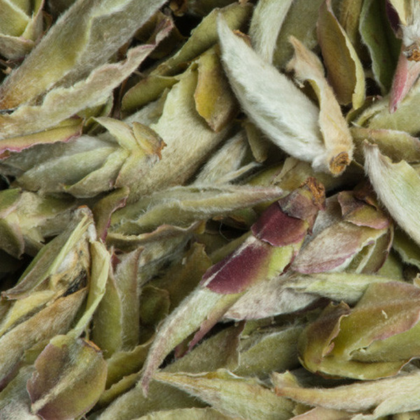 Thé blanc de bourgeons Nan Mei, Chine