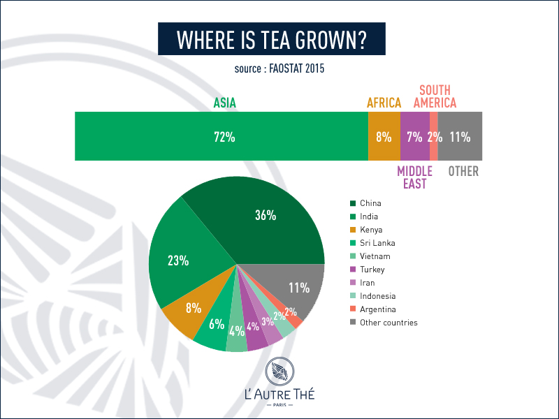 Where is tea grown nowadays?