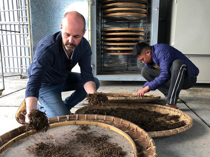 Arnaud et M. Menh travailant les feuilles de thé