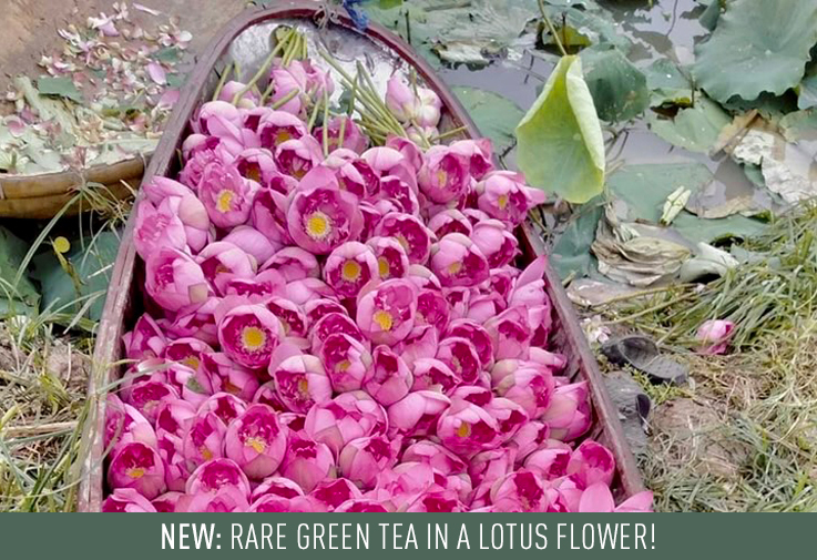 New: Fleur de Lotus, tea in a lotus flower