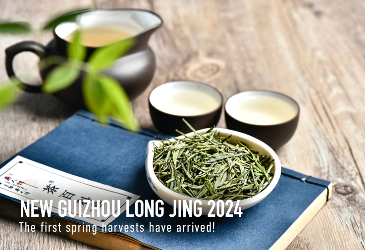 New first flush Long Jing 2024