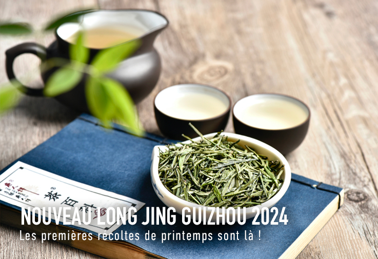 Nouveau Long Jing primeur 2024