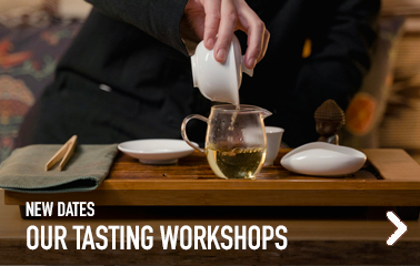 Tasting workshops