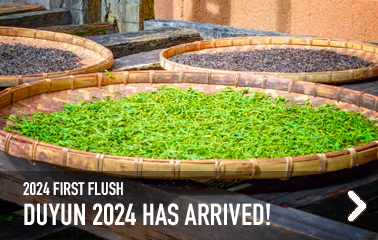New first flush 2024