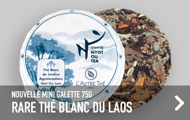 Nouveau thé blanc du Laos