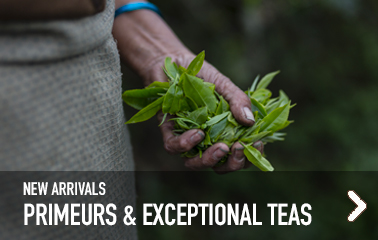 2025 First Flush teas