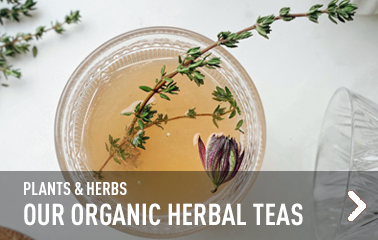 Our organic herbal teas