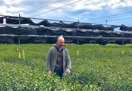 JAPAN: in the land of matcha - 1/3 JAPAN: in the land of matcha - 1/3