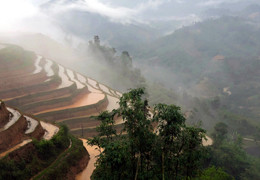 VIETNAM : fées et dragon VIETNAM : fées et dragon