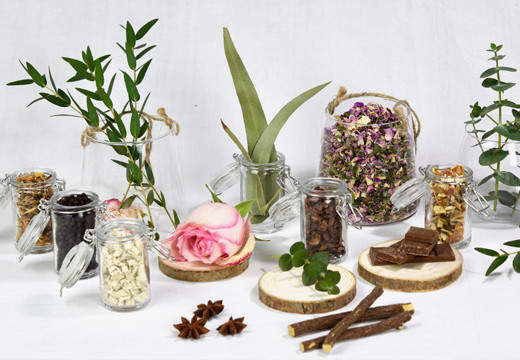 Bienfaits des plantes : petit guide de nos tisanes bio Bienfaits des plantes : petit guide de nos tisanes bio